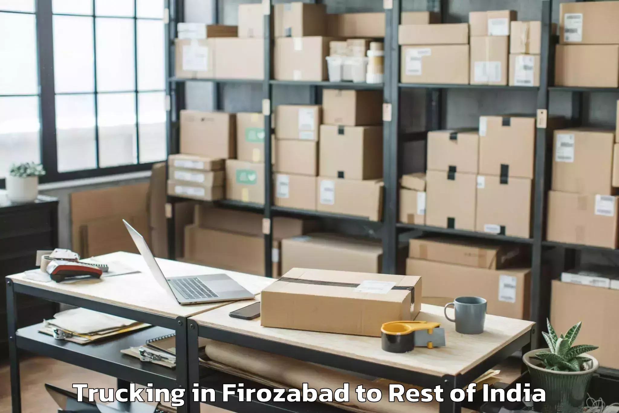 Book Firozabad to Chenani Trucking Online